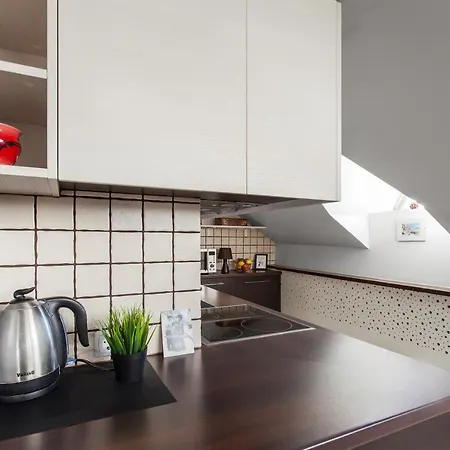 アパート 2bdr Vokieciu Penthouse In Old Town V512a *