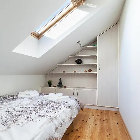 2bdr Vokieciu Penthouse In Old Town V512a Апартаменти *