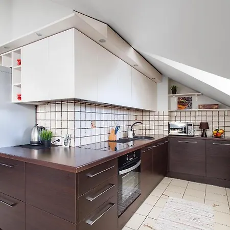 2bdr Vokieciu Penthouse In Old Town V512a Apartment
